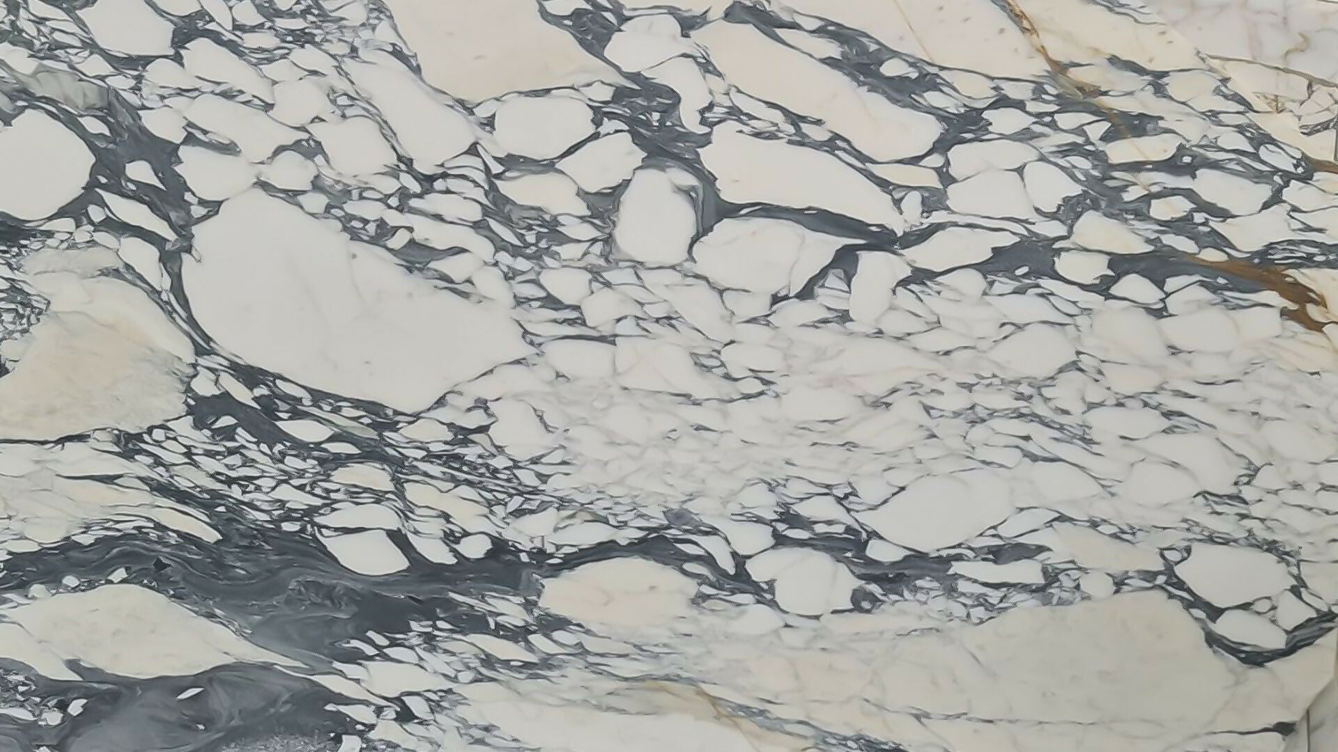 Arabescato Corchia MARBLE 2 S