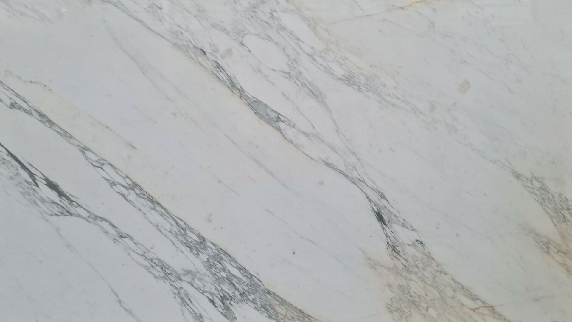 Calacatta Bellini MARBLE 1 S